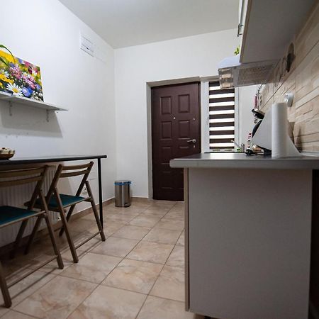 1 Freidorf Apartment ティミショアラ エクステリア 写真